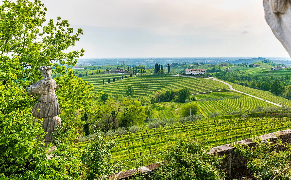 Collio